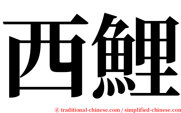 西鯉 serif font
