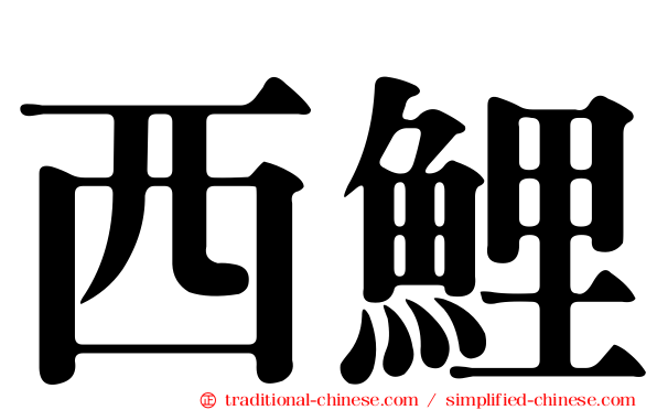 西鯉