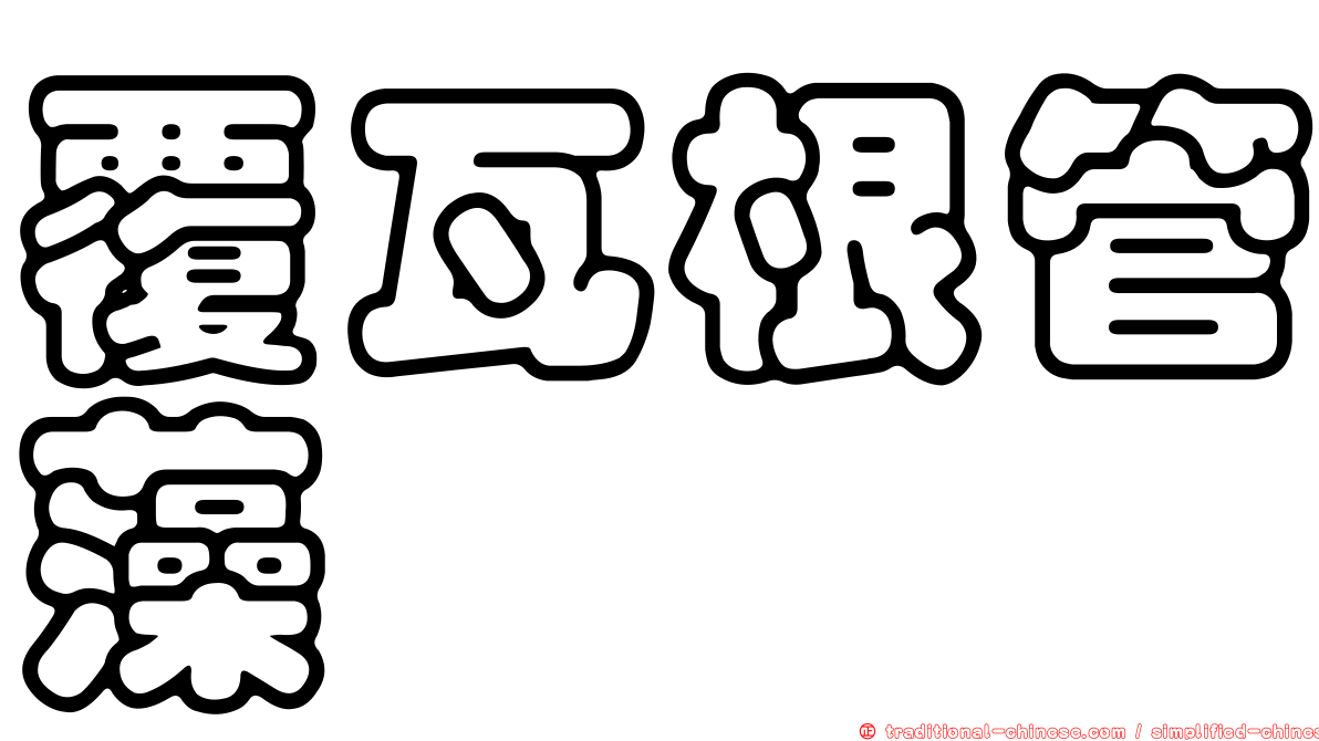 覆瓦根管藻