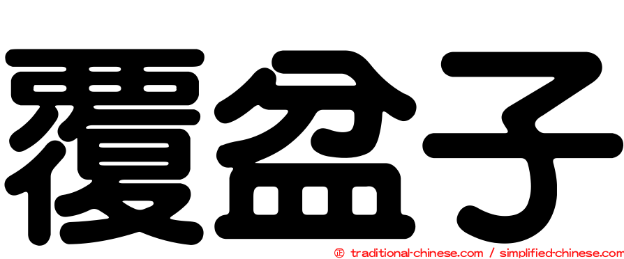 覆盆子