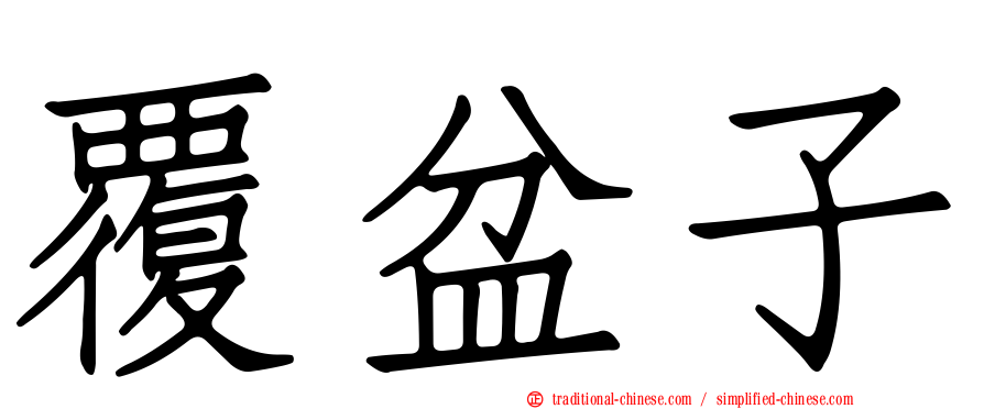 覆盆子