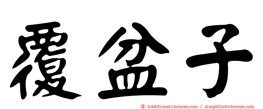 覆盆子