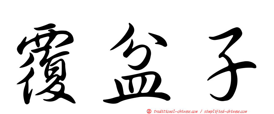 覆盆子