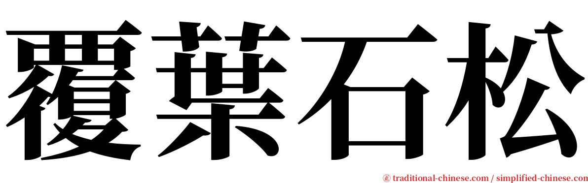 覆葉石松 serif font