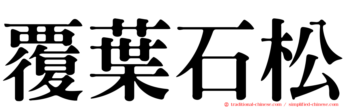 覆葉石松
