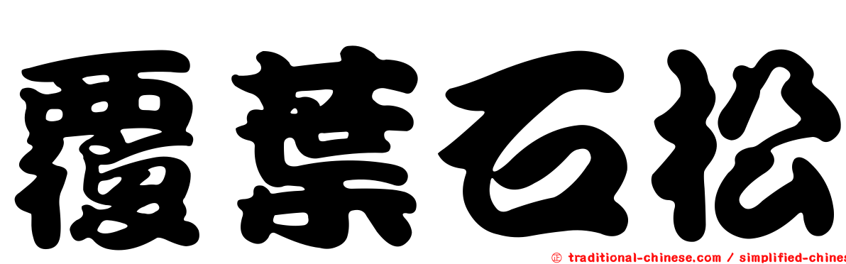 覆葉石松