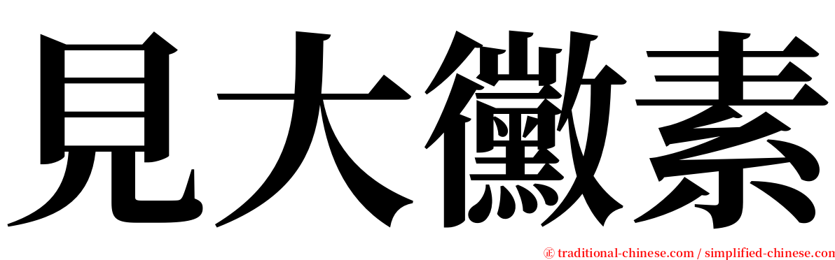 見大黴素 serif font