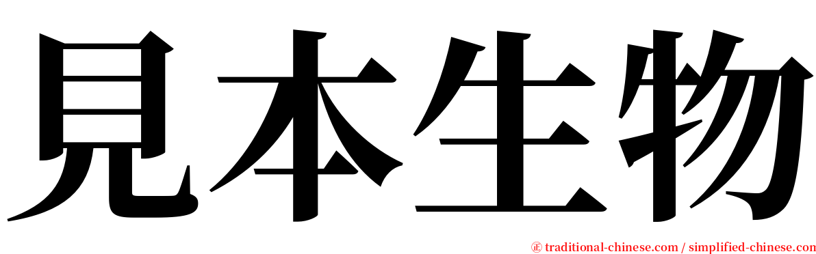 見本生物 serif font