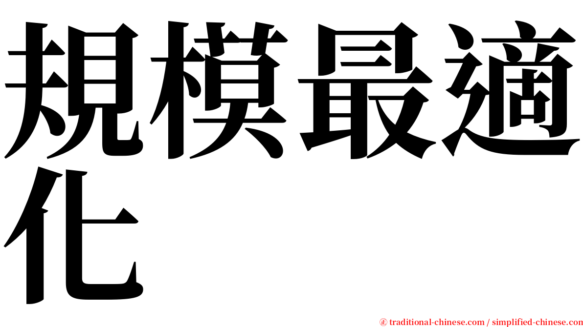 規模最適化 serif font