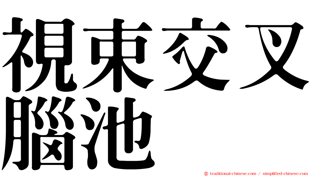 視束交叉腦池