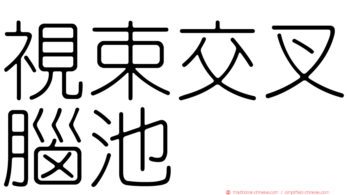 視束交叉腦池