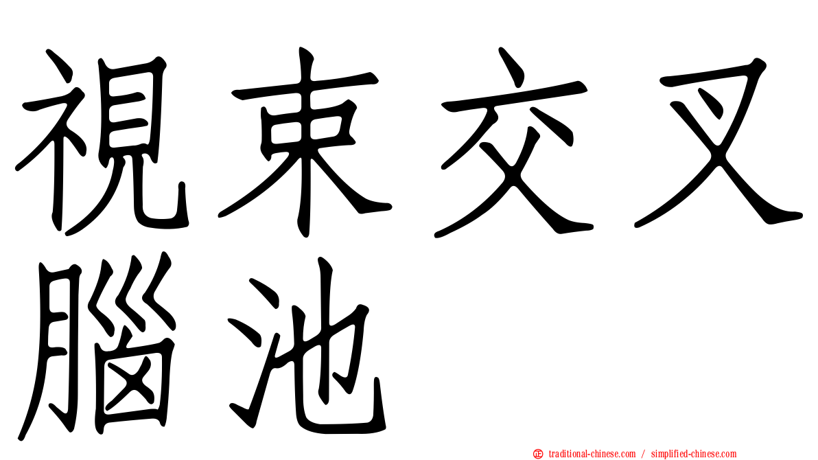 視束交叉腦池