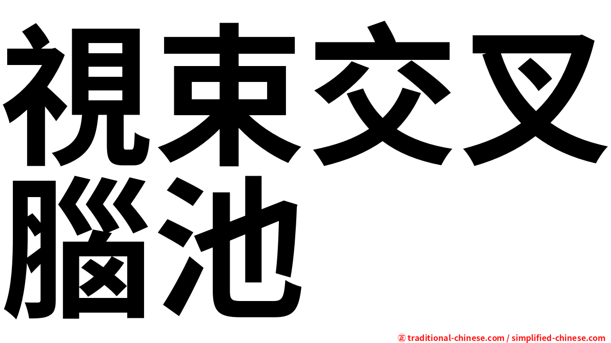 視束交叉腦池