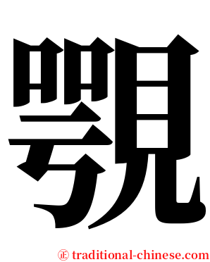 覨 serif font