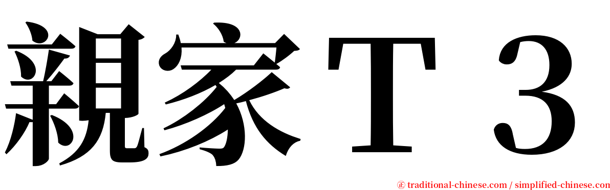 親家Ｔ３ serif font