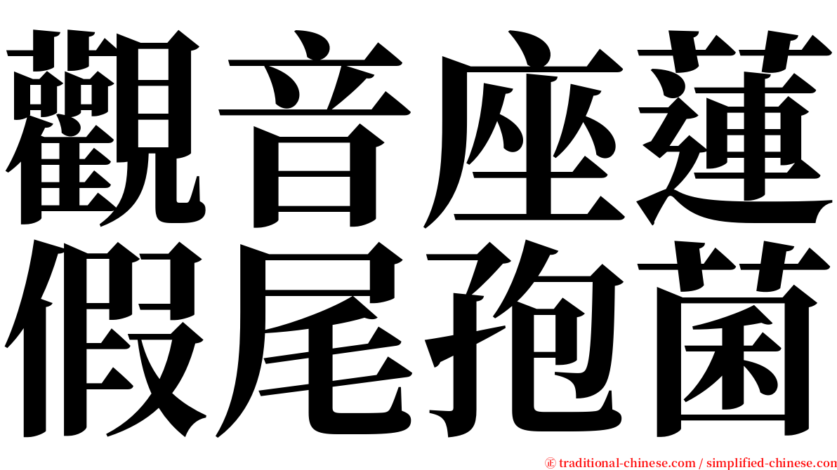 觀音座蓮假尾孢菌 serif font