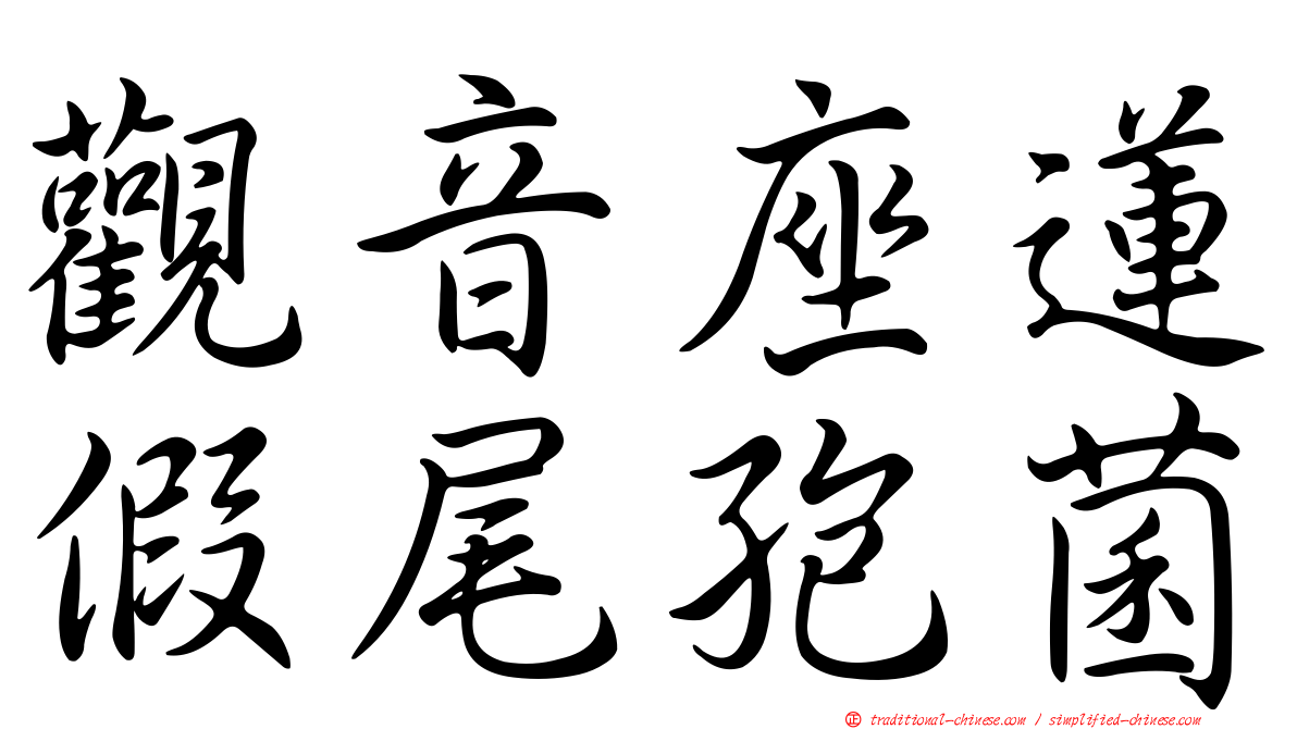 觀音座蓮假尾孢菌