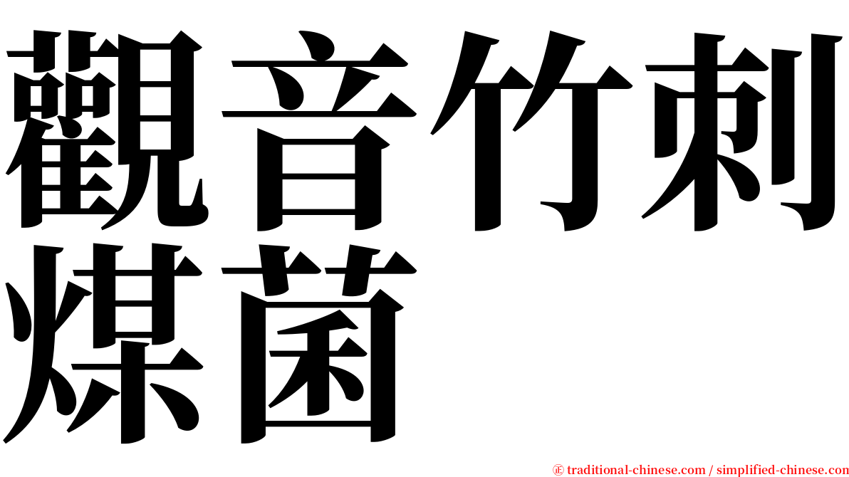 觀音竹刺煤菌 serif font