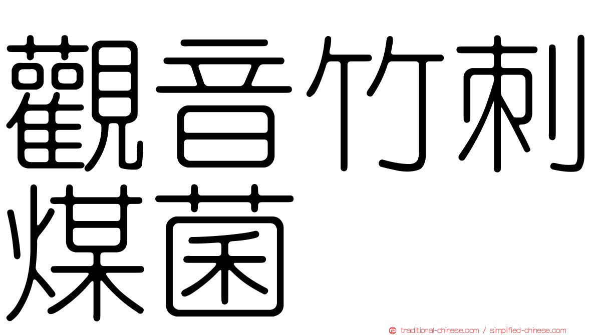 觀音竹刺煤菌