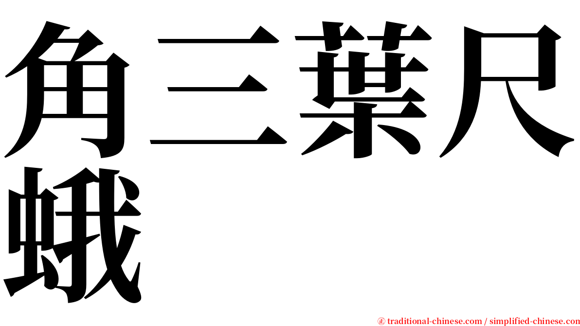 角三葉尺蛾 serif font