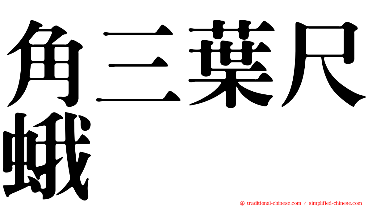 角三葉尺蛾