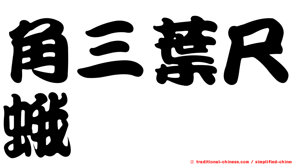 角三葉尺蛾