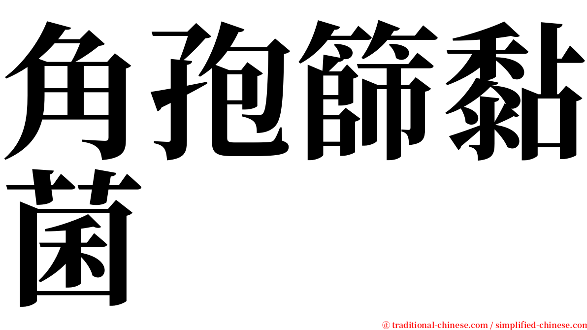 角孢篩黏菌 serif font