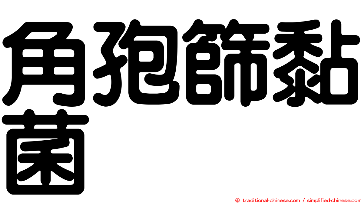 角孢篩黏菌