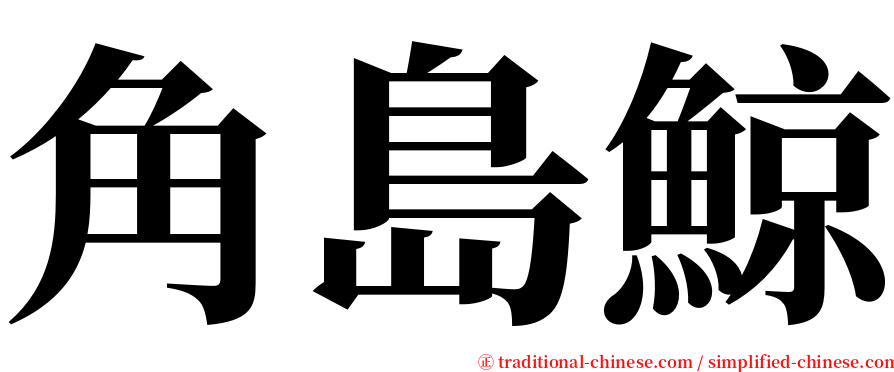 角島鯨 serif font