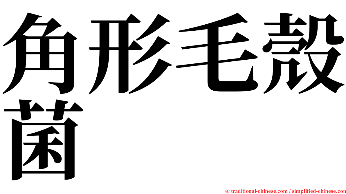 角形毛殼菌 serif font
