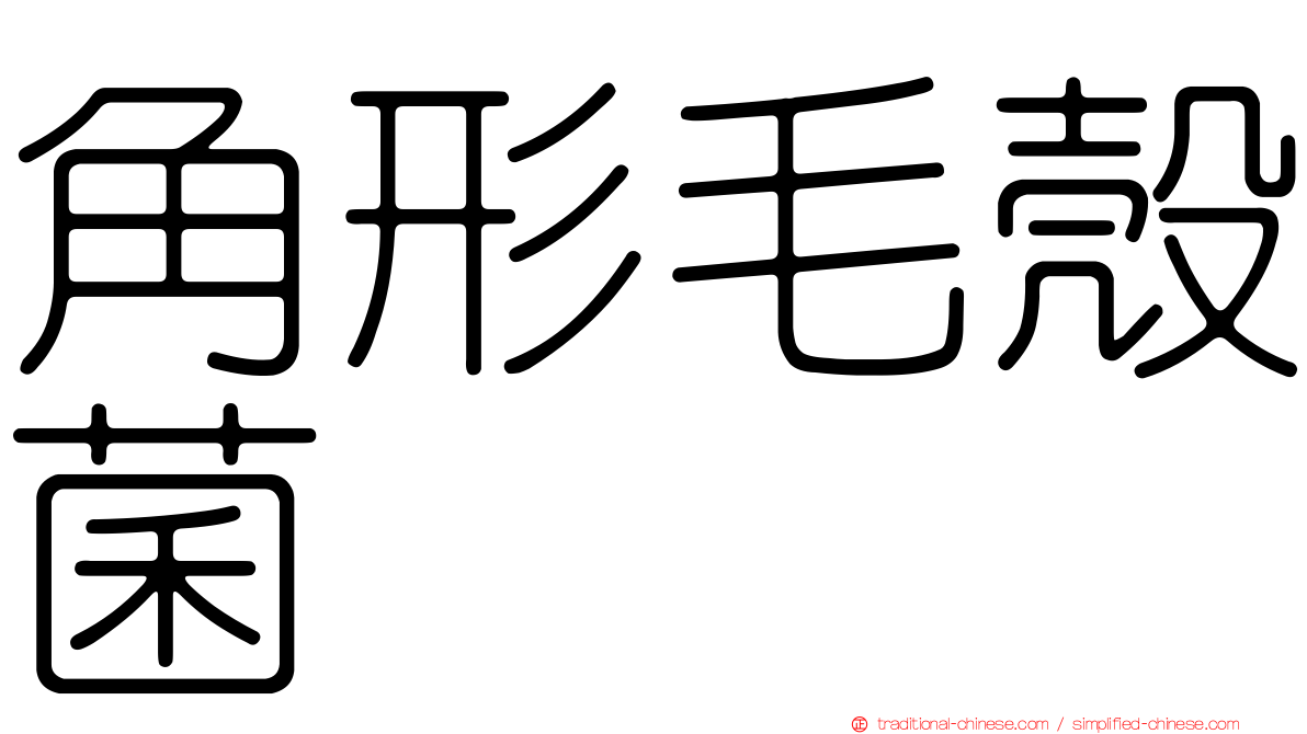 角形毛殼菌