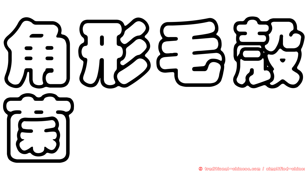 角形毛殼菌