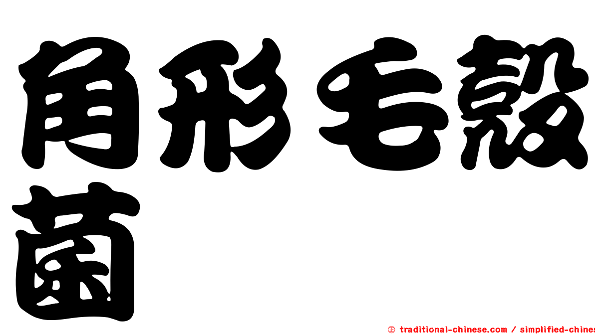 角形毛殼菌