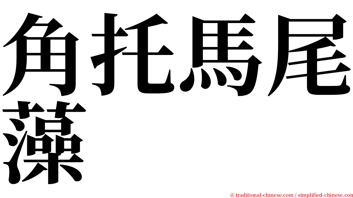 角托馬尾藻 serif font