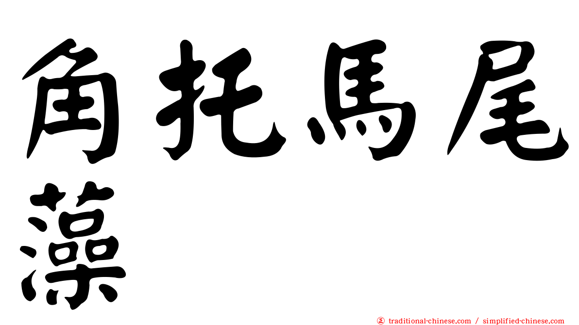 角托馬尾藻