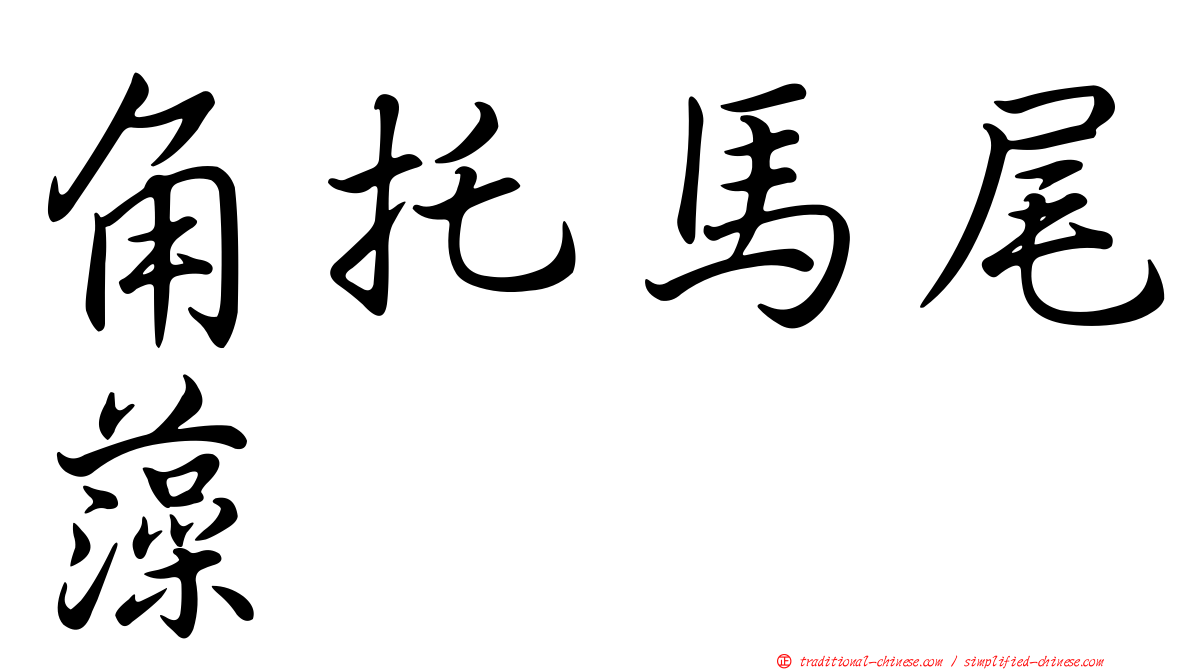 角托馬尾藻