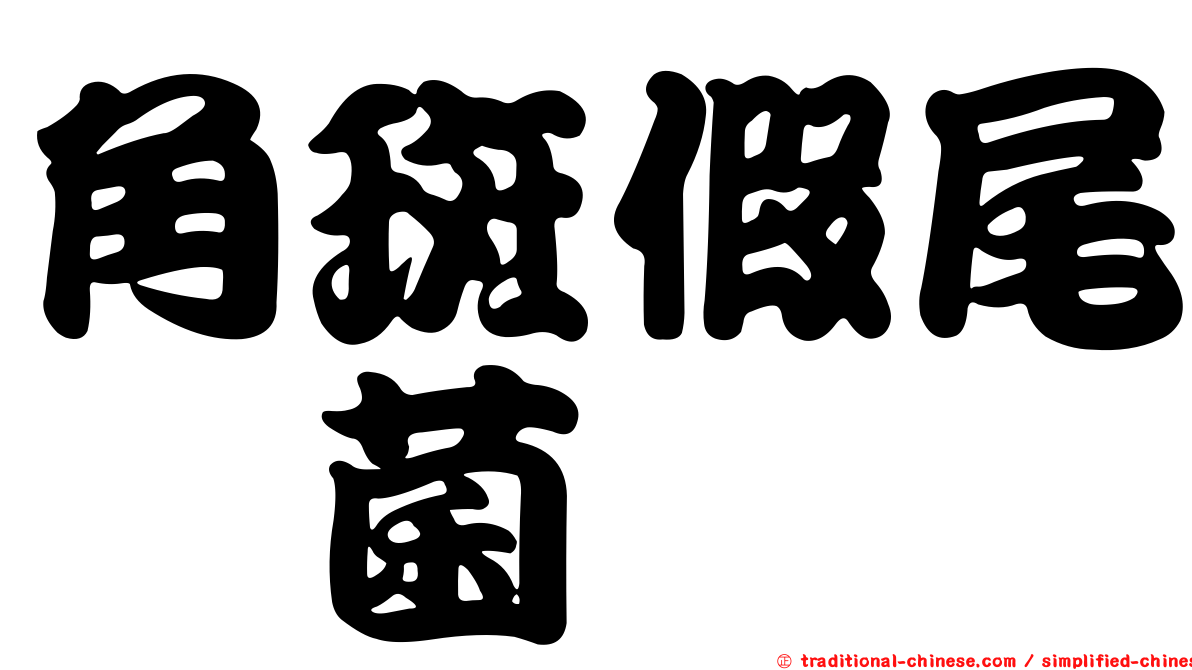 角斑假尾孢菌