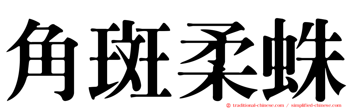 角斑柔蛛