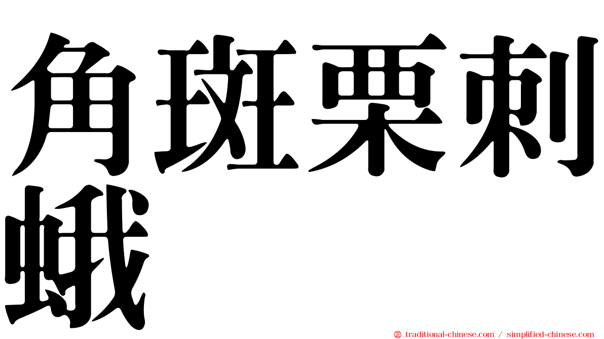 角斑栗刺蛾