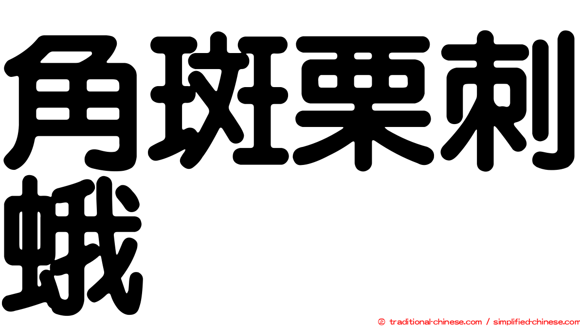角斑栗刺蛾