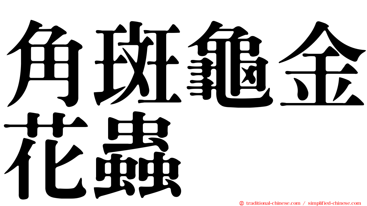 角斑龜金花蟲