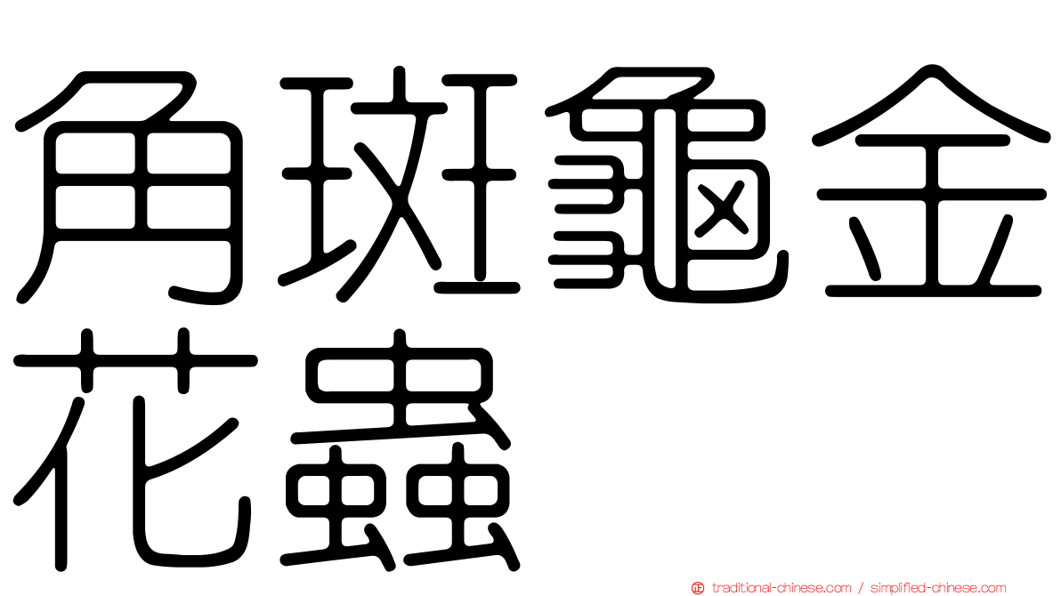 角斑龜金花蟲