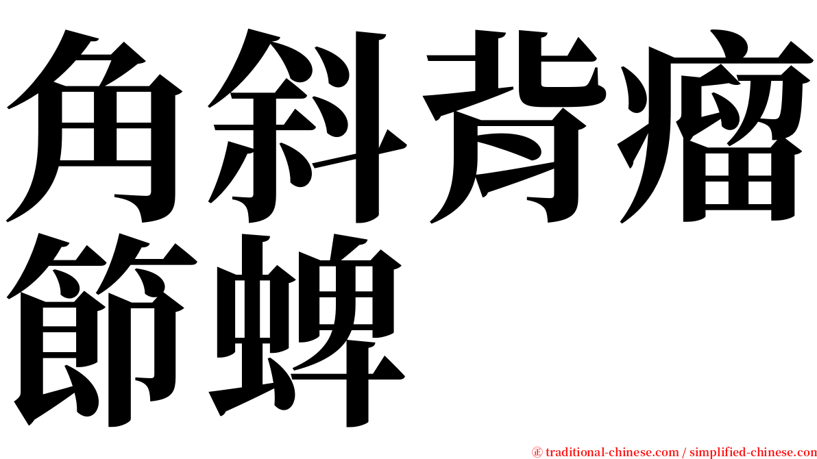 角斜背瘤節蜱 serif font