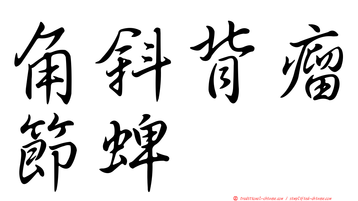 角斜背瘤節蜱