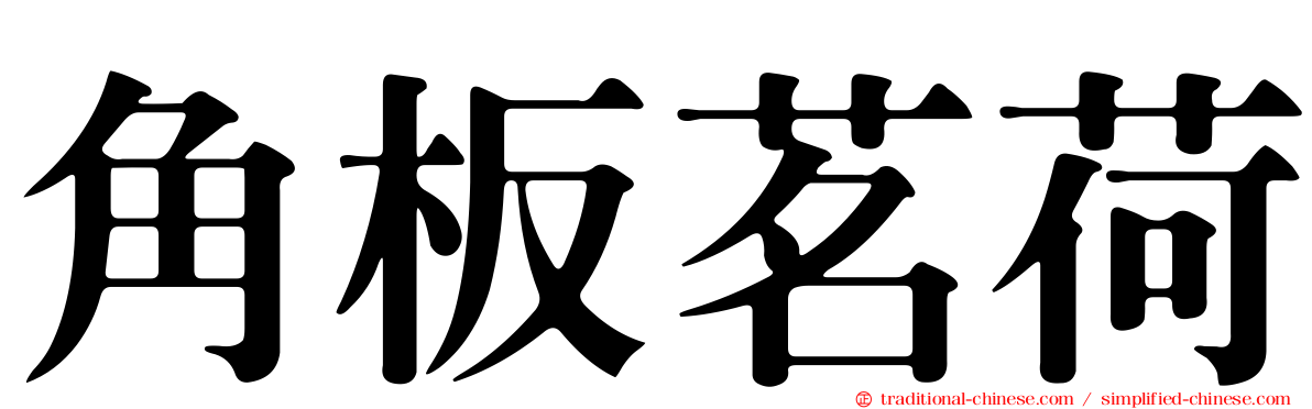 角板茗荷
