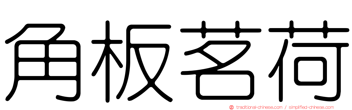 角板茗荷