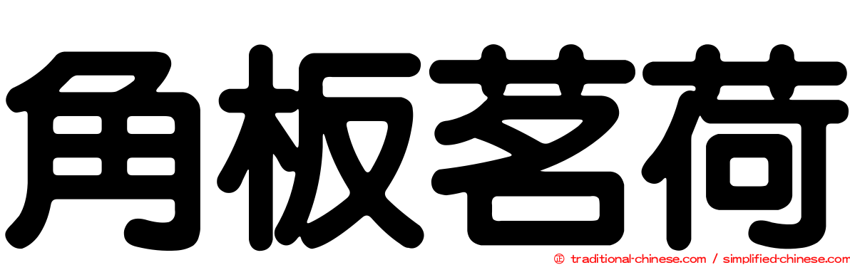 角板茗荷