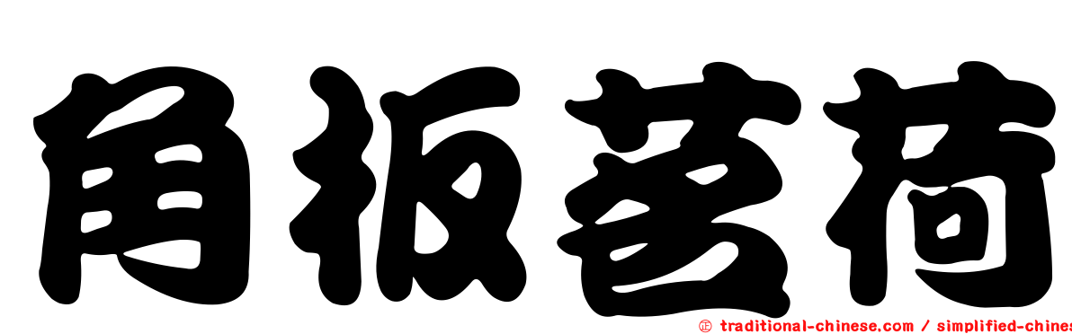 角板茗荷