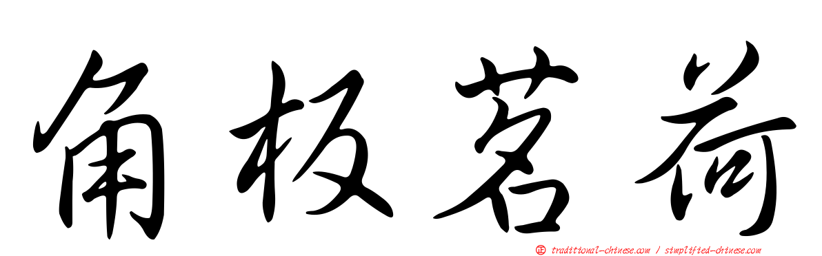角板茗荷