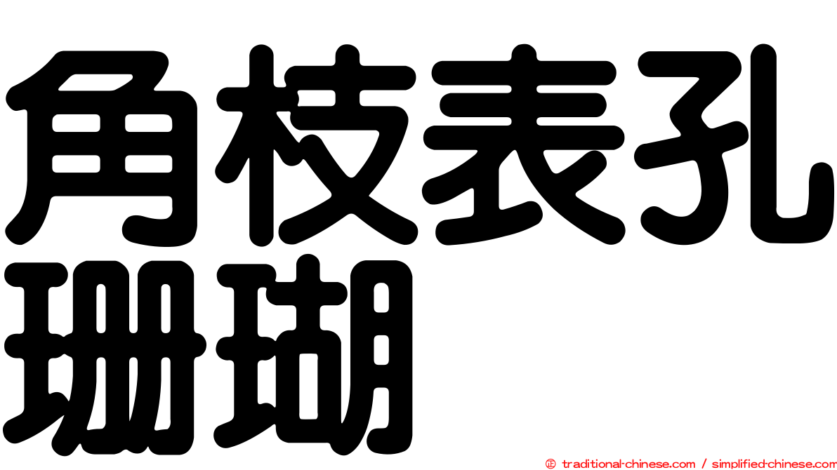 角枝表孔珊瑚